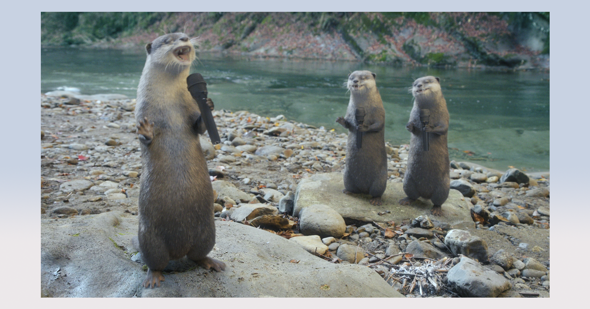 カワウソ 3匹のカワウソが「ごめんなさいね～♪」日清紡の新CM 第2弾もフルCG