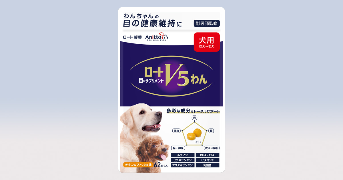 ロート製薬、既存事業をペット向けに横展開 犬用サプリ「ロート
