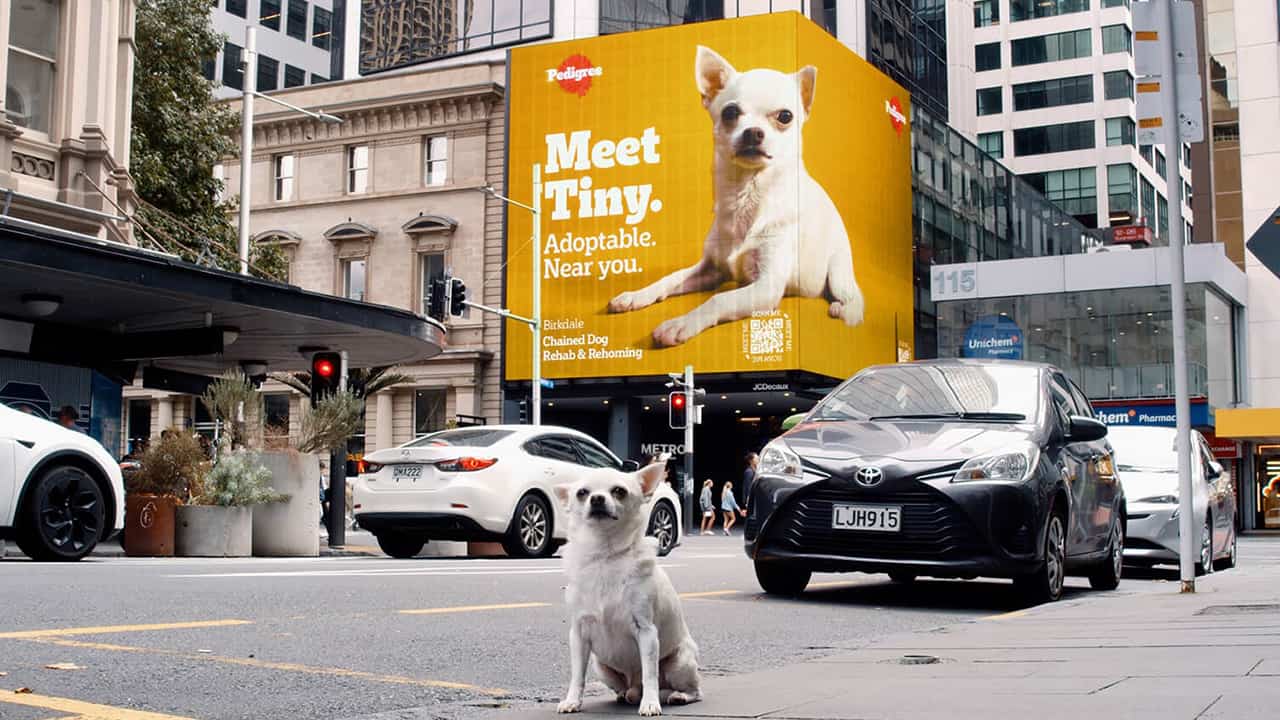 佐藤さん専用 2025-01-01 XENON『新春 音を楽しむ会』 佐藤楓子 - YouTube