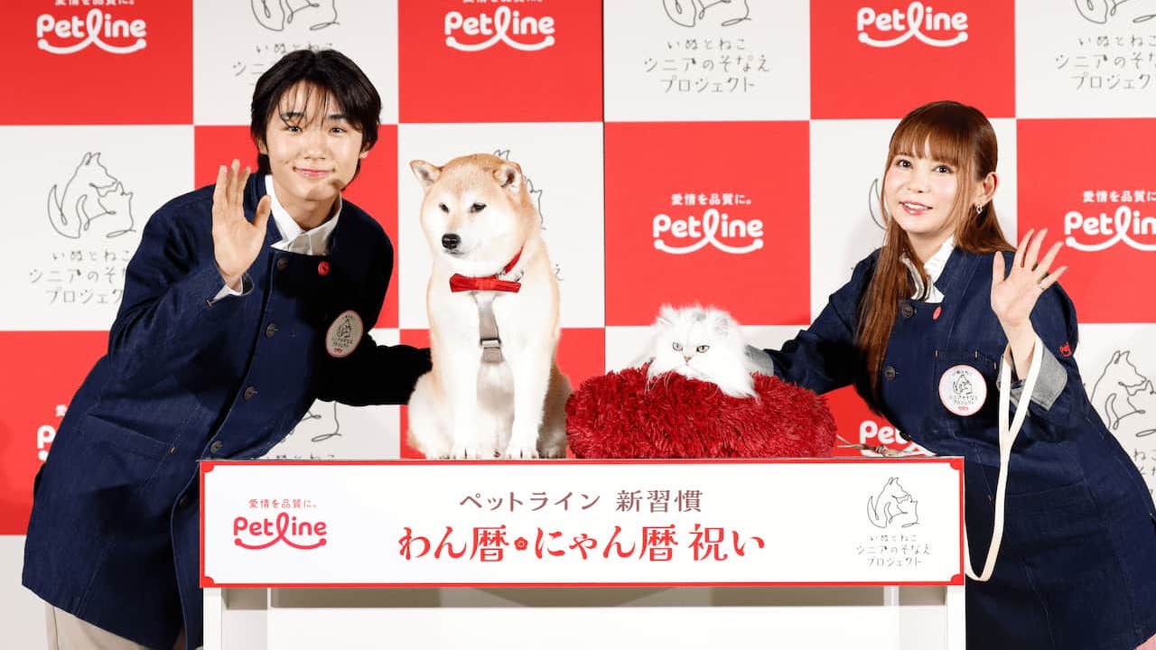 [行って帰る君]　ペットドア　新年キャンペーン中 petline-ogp.jpg
