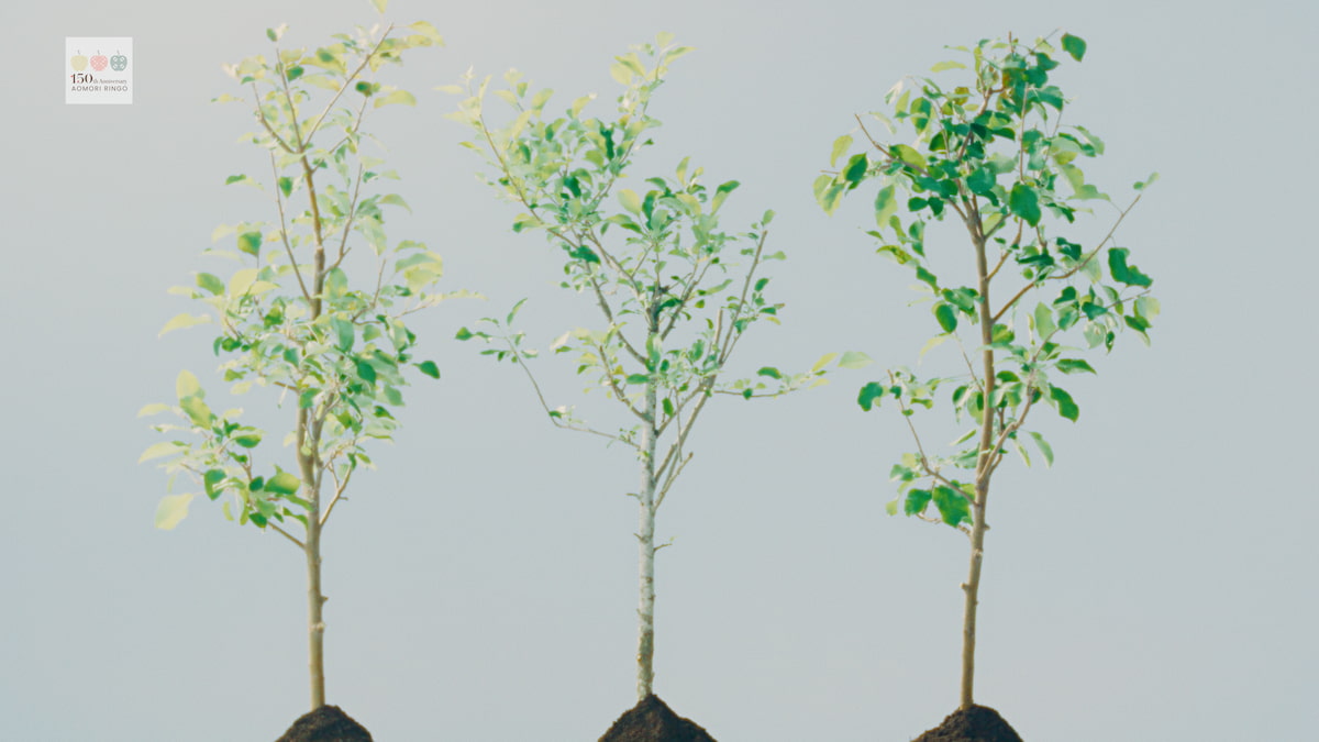 イメージ 青森りんご植栽150周年記念CM