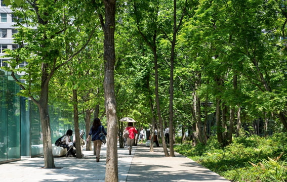 「大手町の森」の様子。