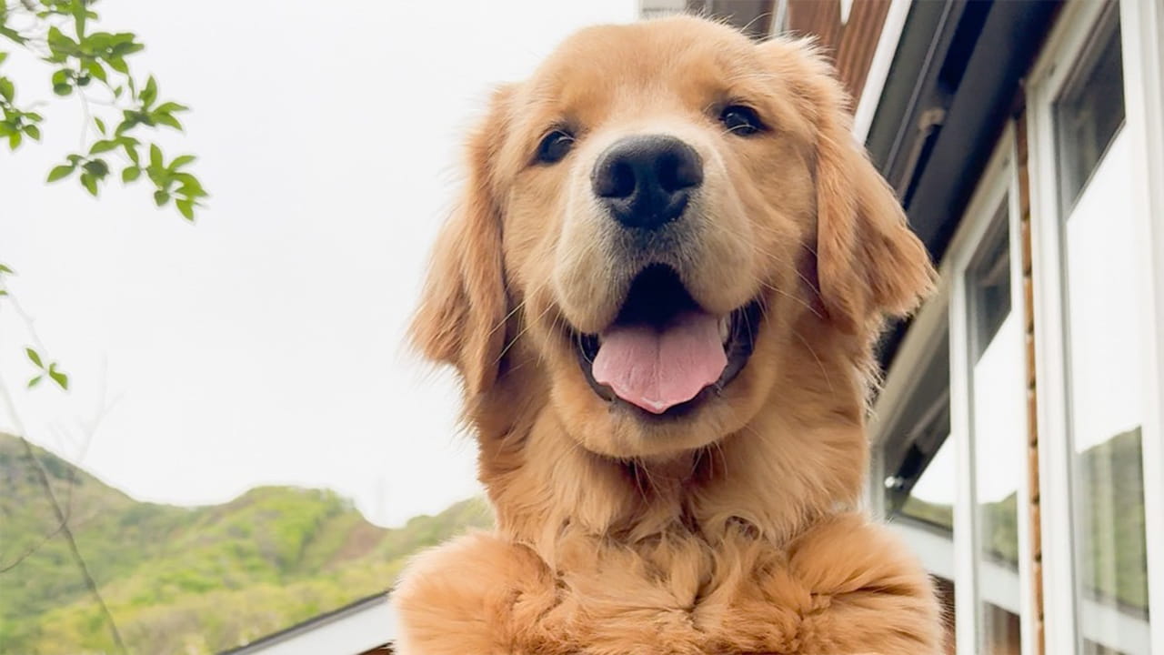 画像が削除されました