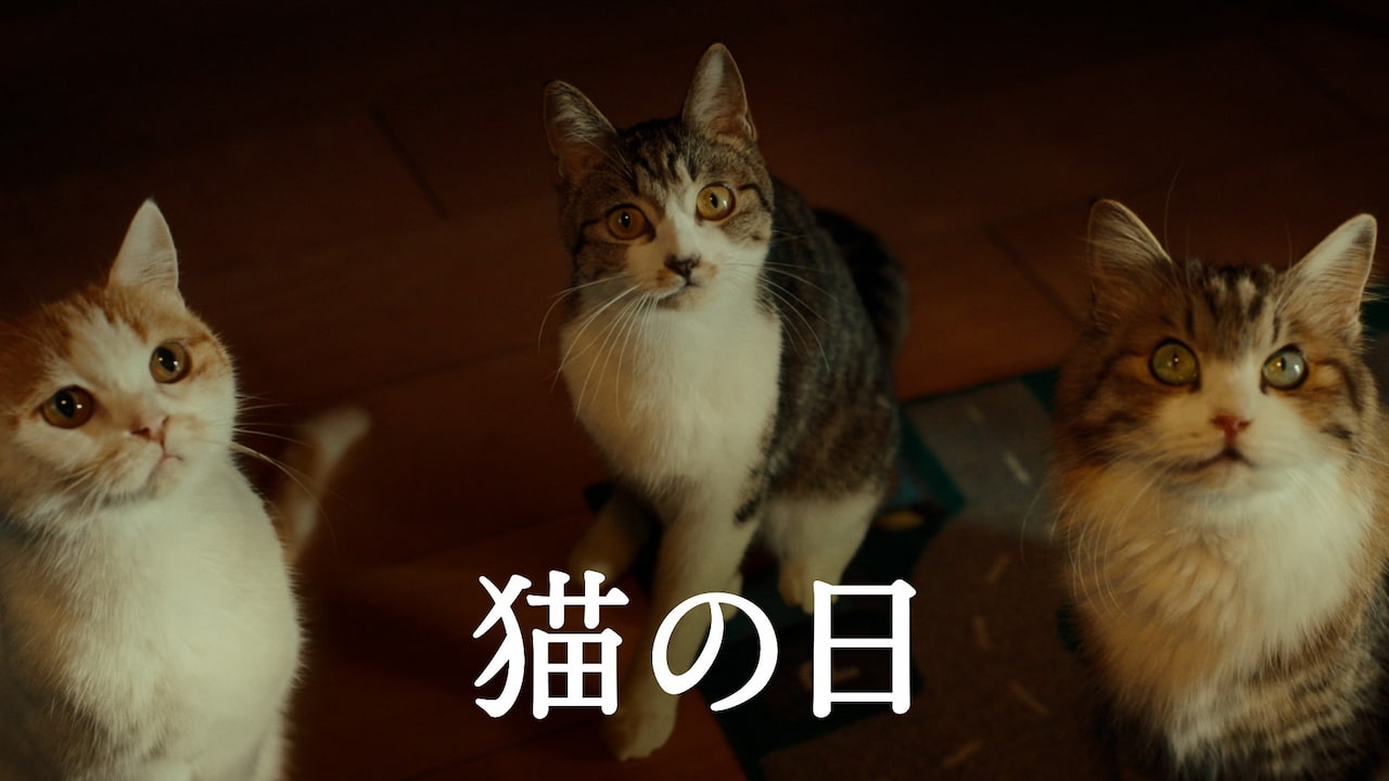 もはや国民的記念日か 「猫の日」商戦が過熱、宿もコンビニも電力も