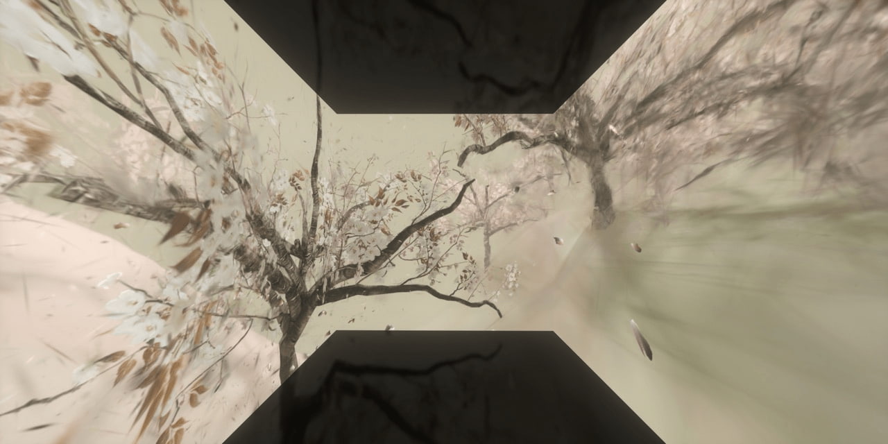 THE DYNAMICS OF DETAIL 映像