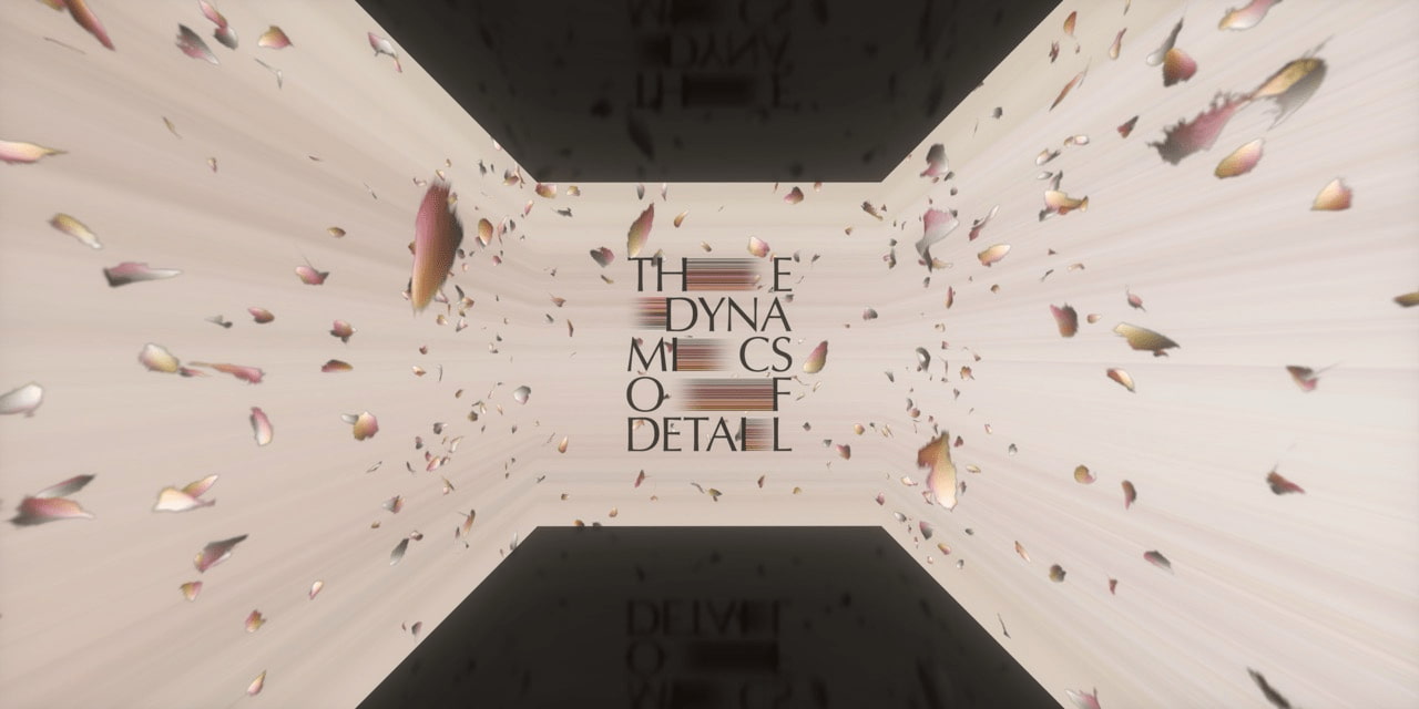 THE DYNAMICS OF DETAIL 映像