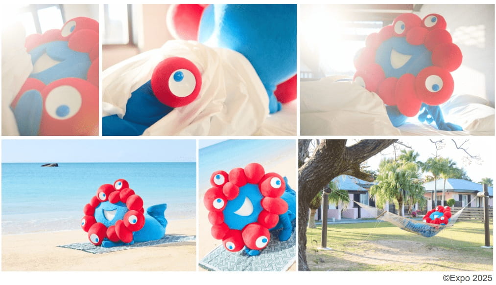 写真 撮影はアマナ出身のフォトフラファー てんてんが担当