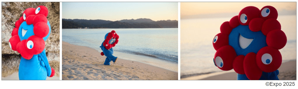 写真 撮影は沖縄で行った。