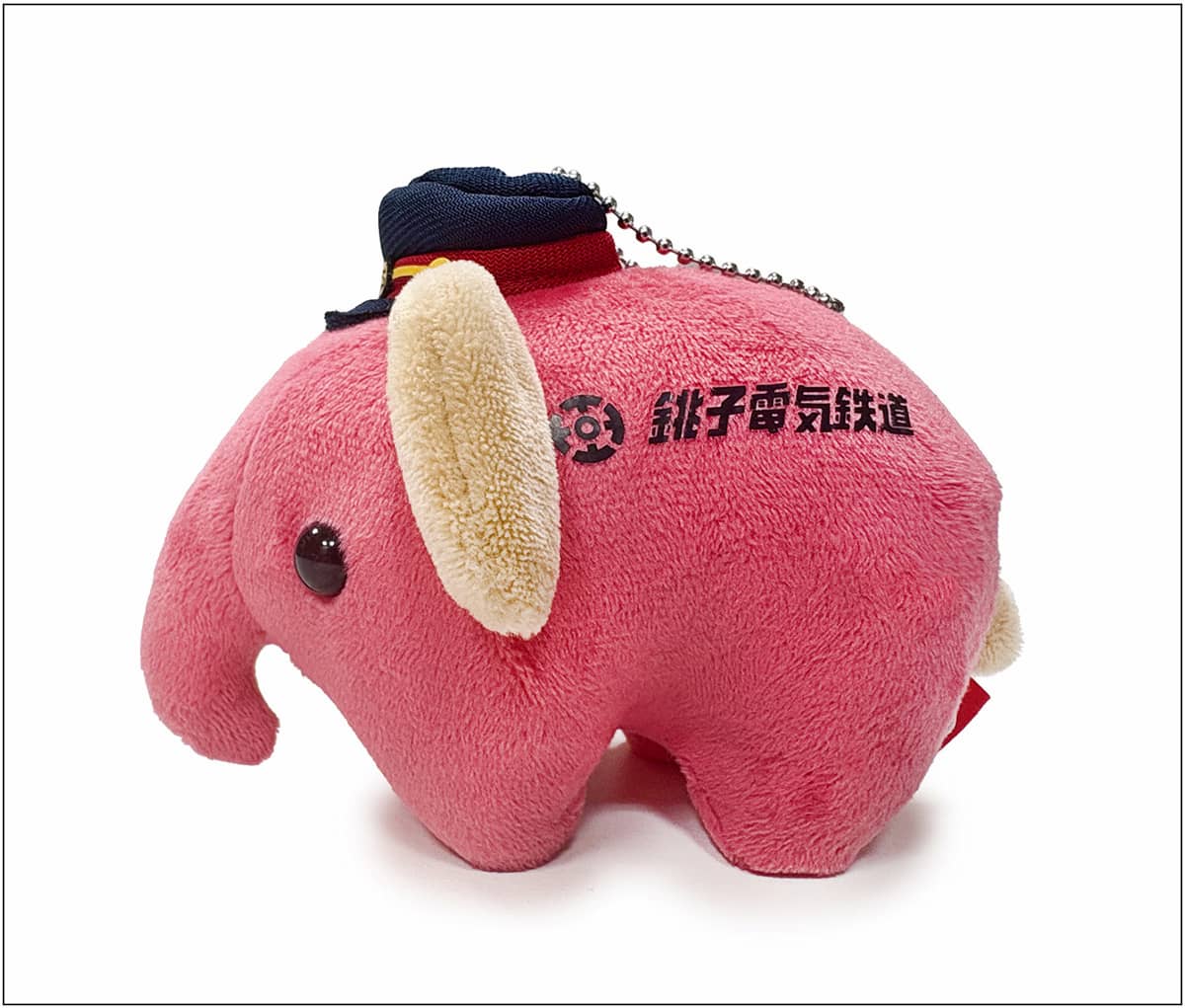 写真 MD にせんぞう