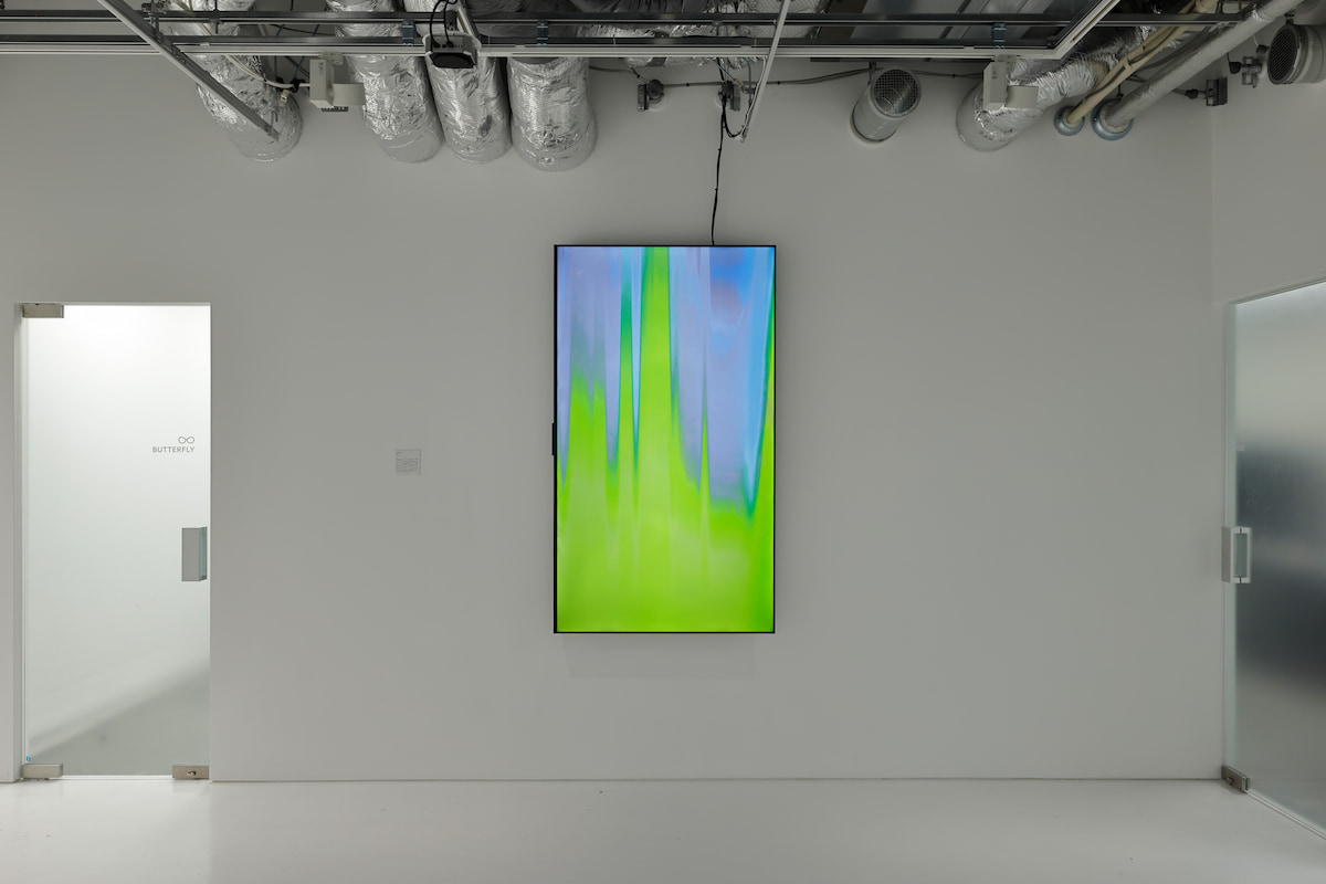 写真 展示の様子