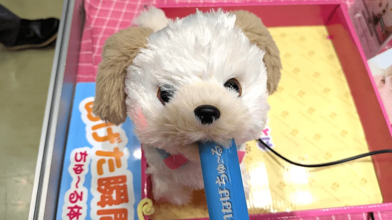写真 「ちゅ~るにムチュー!マルプーちゃん」
