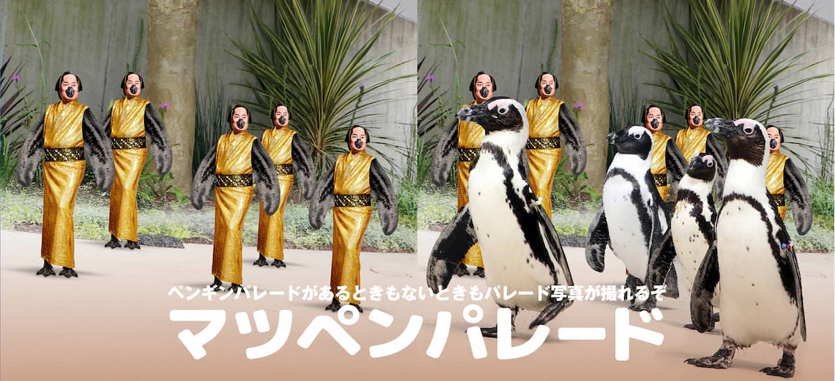 写真 シーパラダイスxマツケン