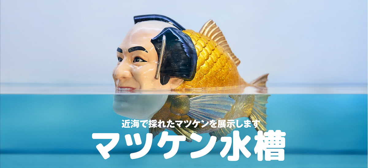 写真 シーパラダイスxマツケン