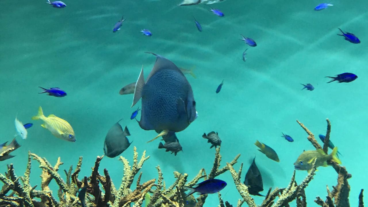 「休んでいい、そのままでいい」新学期に悩む人へ動物園・水族館がXで発信、大きな反響