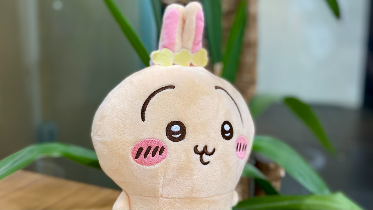 写真 商品・製品 ぬいぐるみ
