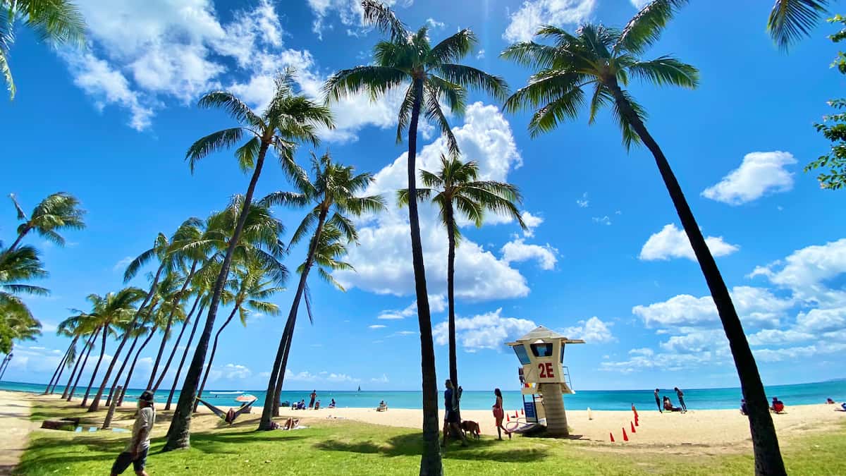 写真 風景 ハワイのビーチ