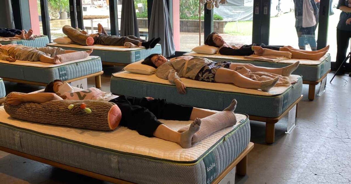 잠만 자도 상금 222만 엔? 800:1 경쟁률 기록한 '수면 대결' 이벤트 미리보기