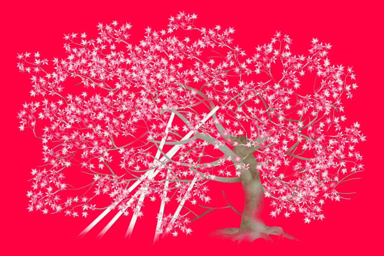 写真 作品