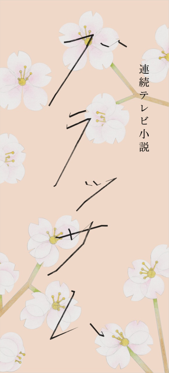 写真 作品