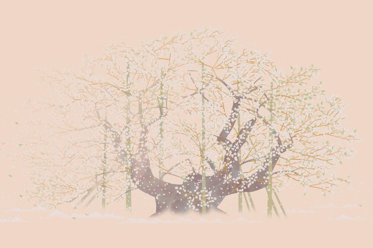 写真 作品