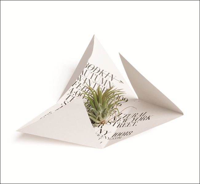 Roanne Adams Roanne Adams